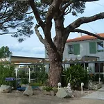 Le Parasol