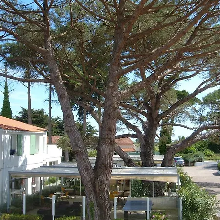 Le Parasol