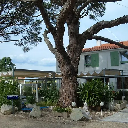Le Parasol