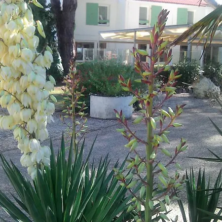 Hotel Le Parasol 3*